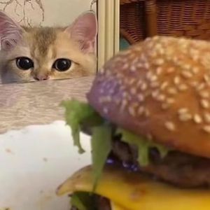 公交车被多人伦㢨吃
